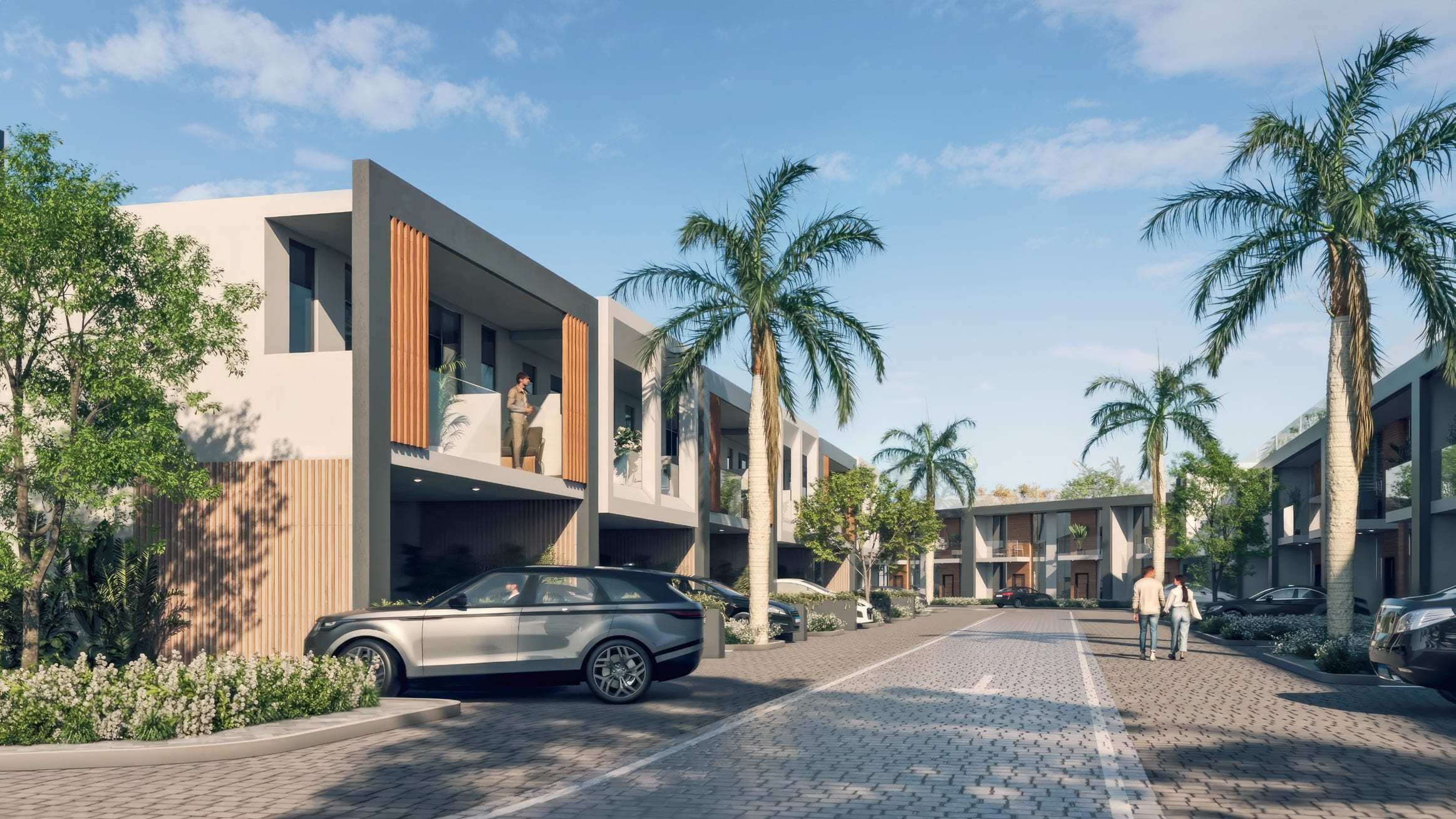 Verdana VI cover image