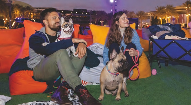 Outdoor cinema amenity image