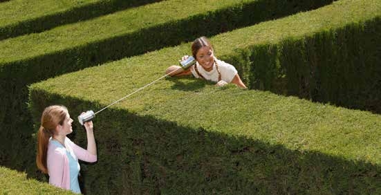 Hedge Maze amenity image