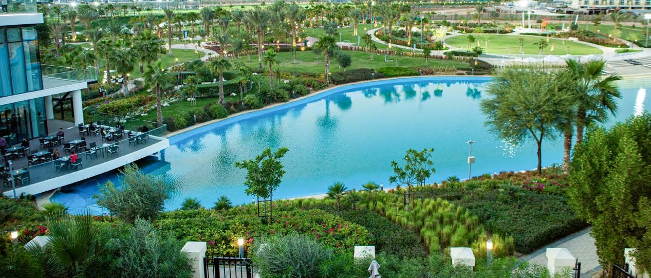 Zen Garden amenity image