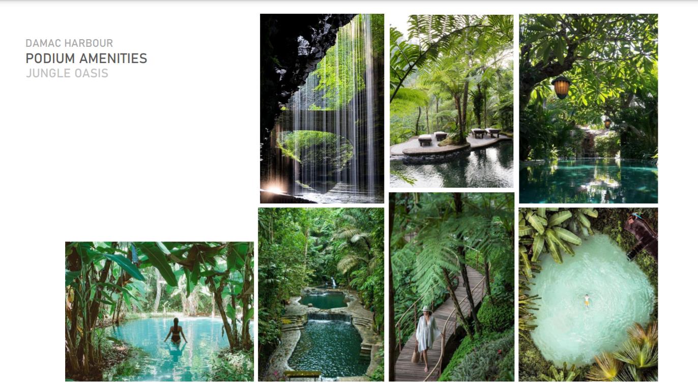 JUNGLE OASIS amenity image