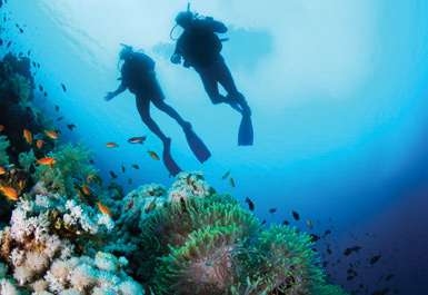 Sport Activities amenity image