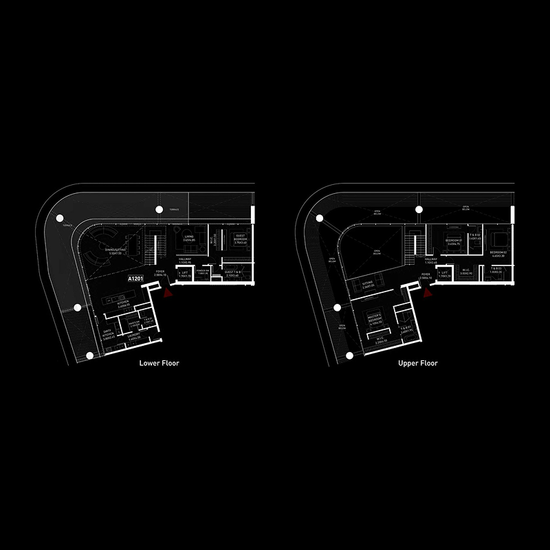 Duplex Penthouse plan