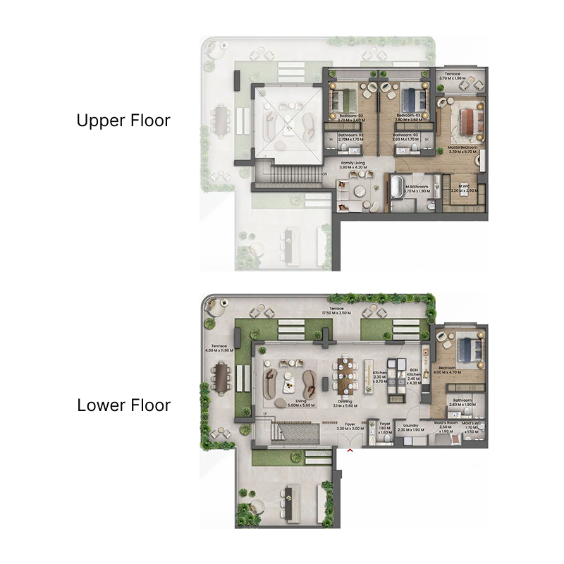 Penthouse plan
