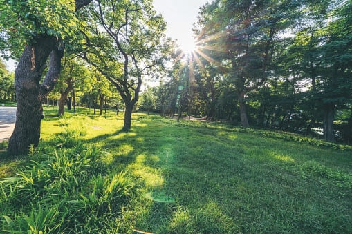 Parks & Gardens amenity image