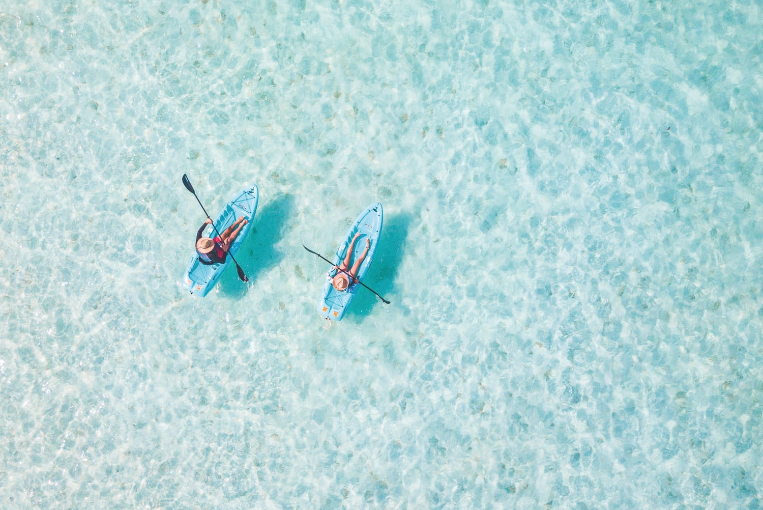 Kayak Club & Café amenity image