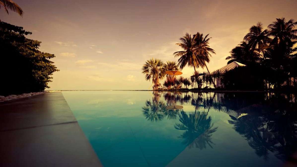 Outdoor Adult Swimming Pool amenity image