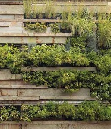 Organic plants garden amenity image