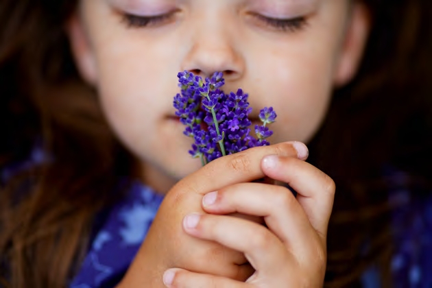 GARDEN amenity image