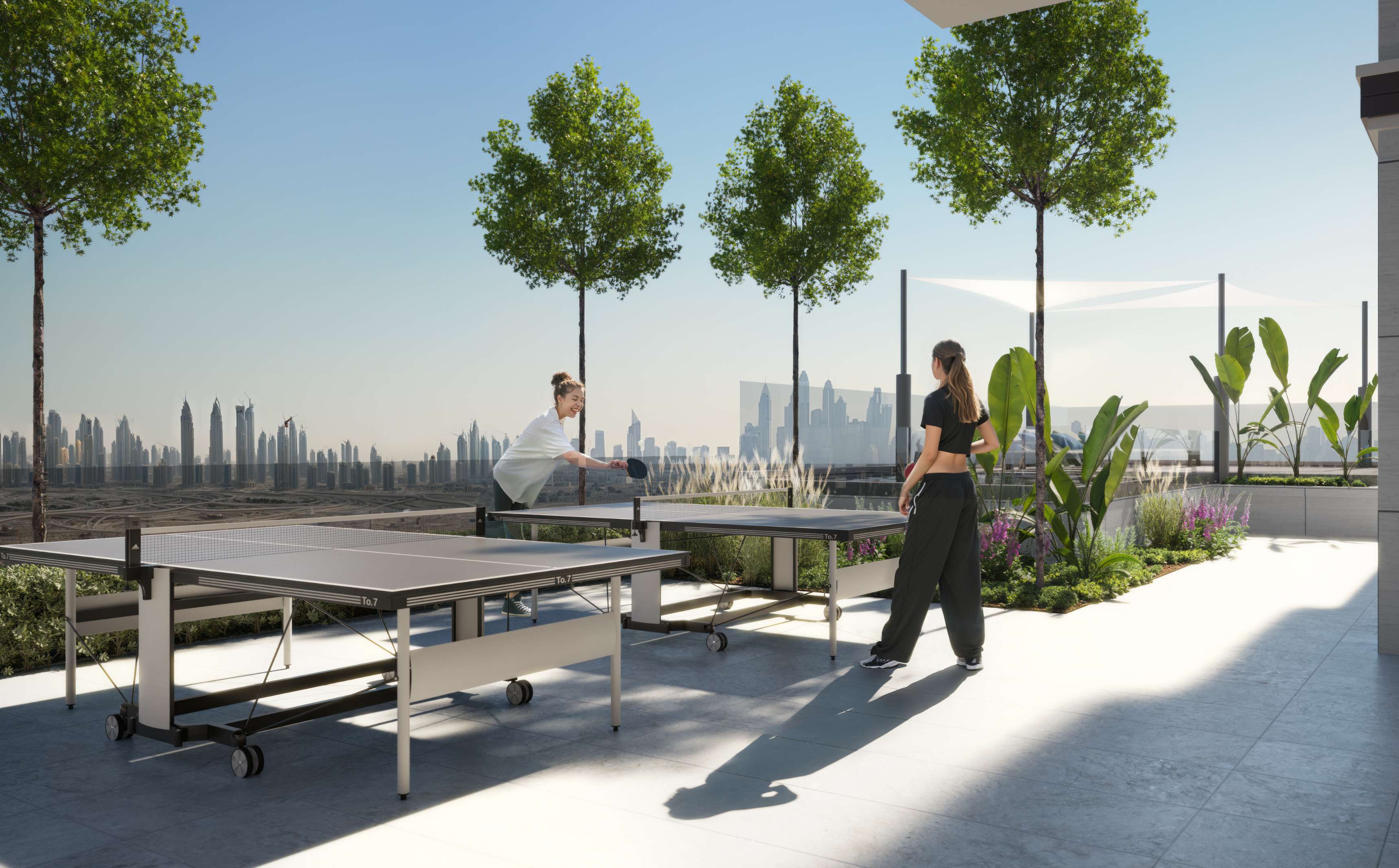 Table tennis amenity image