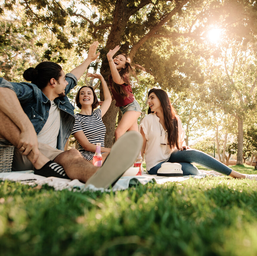 Community Parks amenity image