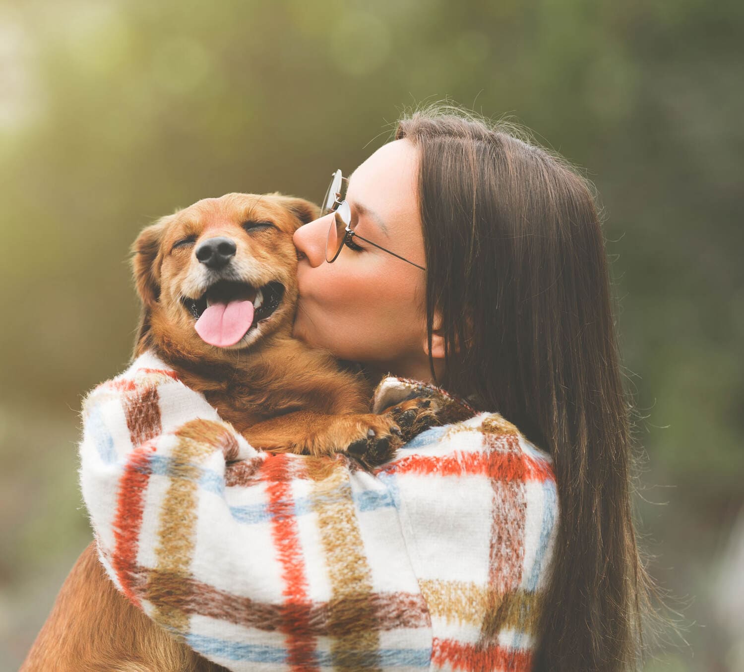 Pet Areas amenity image