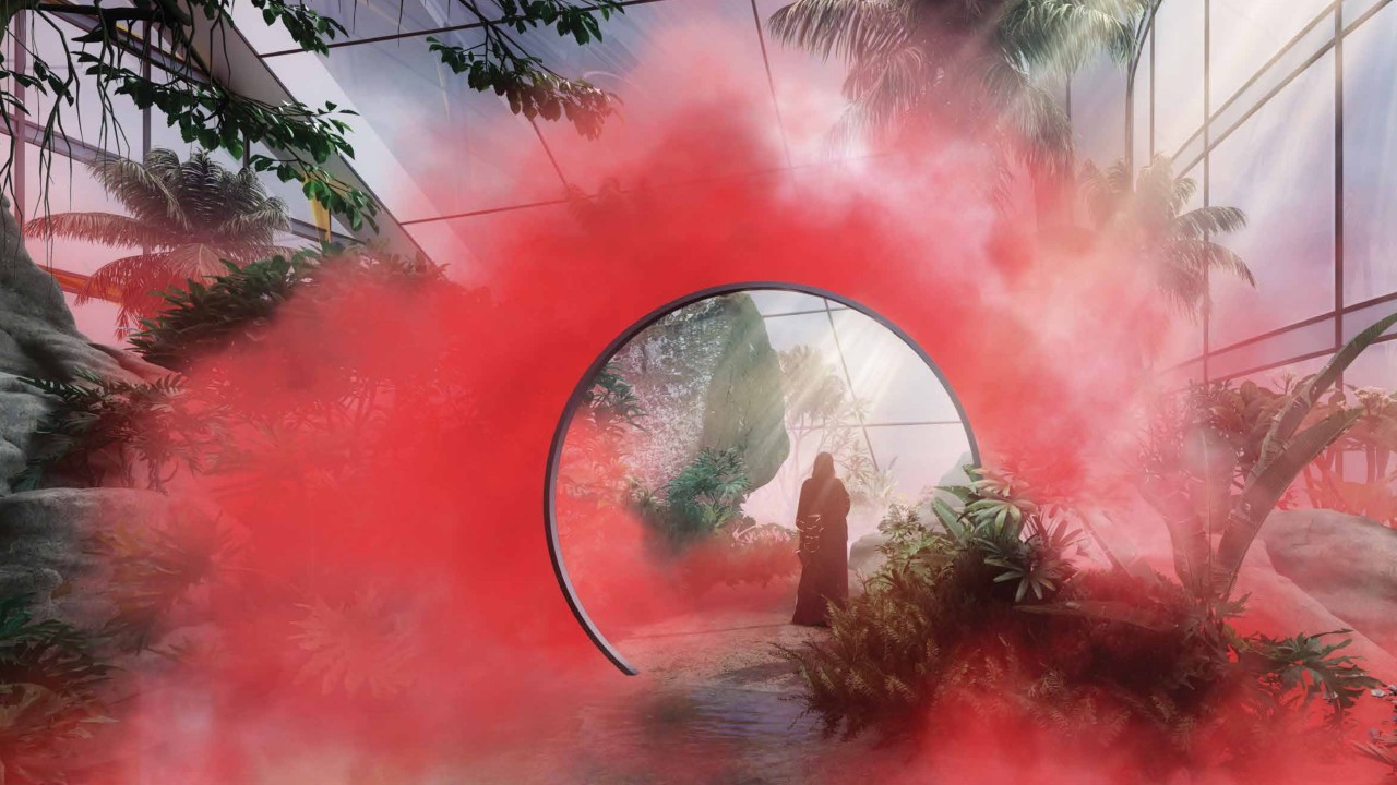 Fog forest amenity image