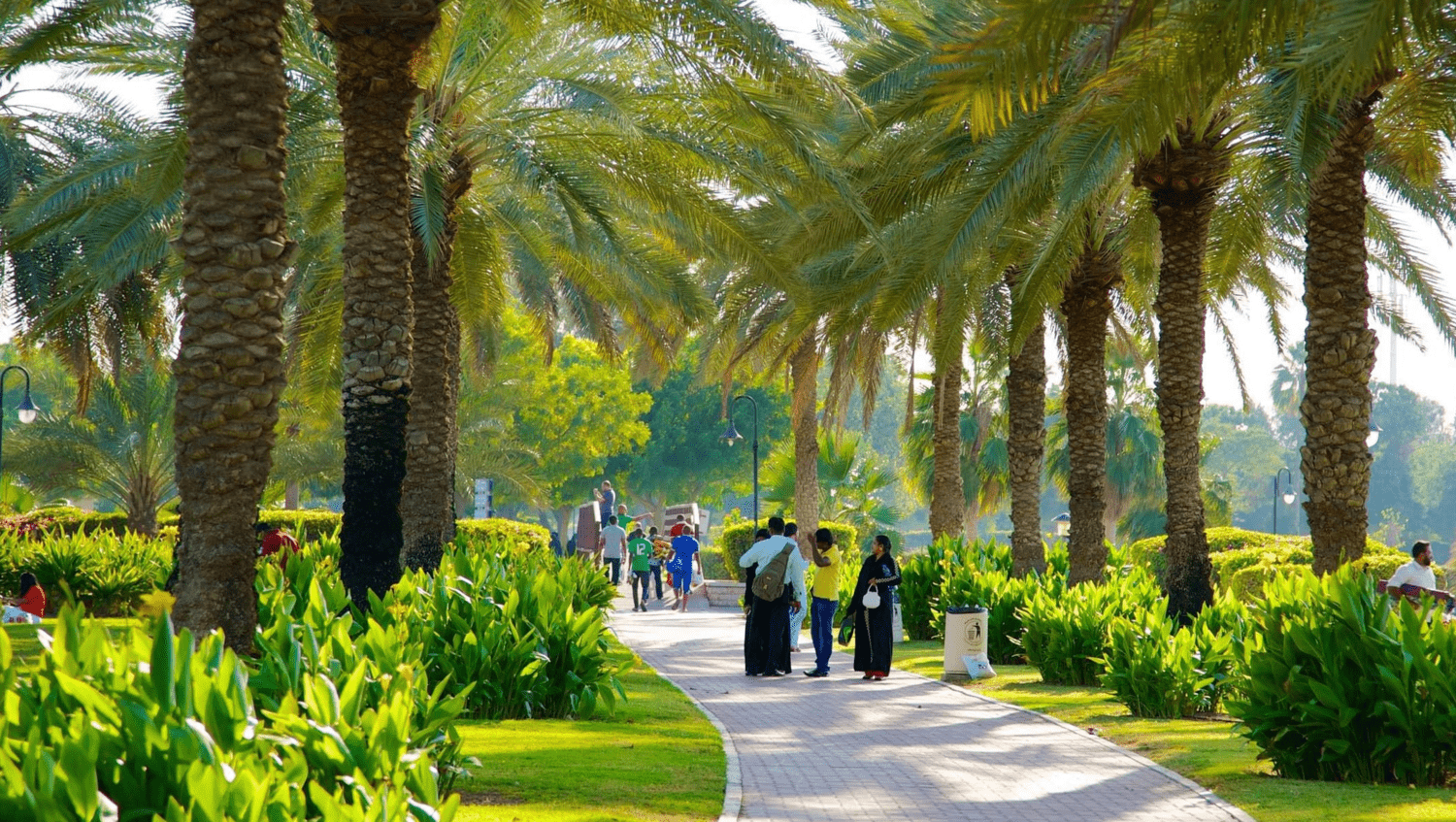 Al Safa Park amenity image