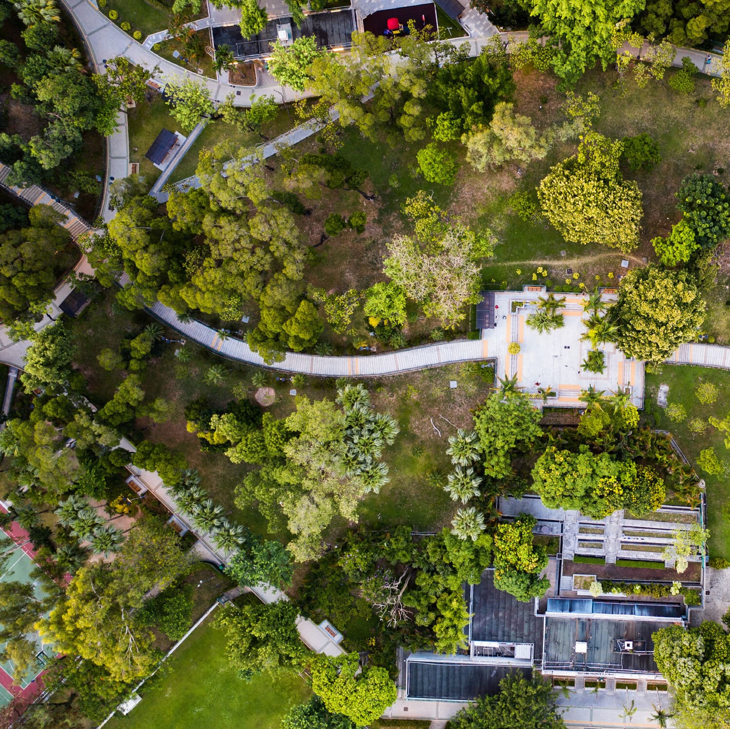 Linear Park amenity image