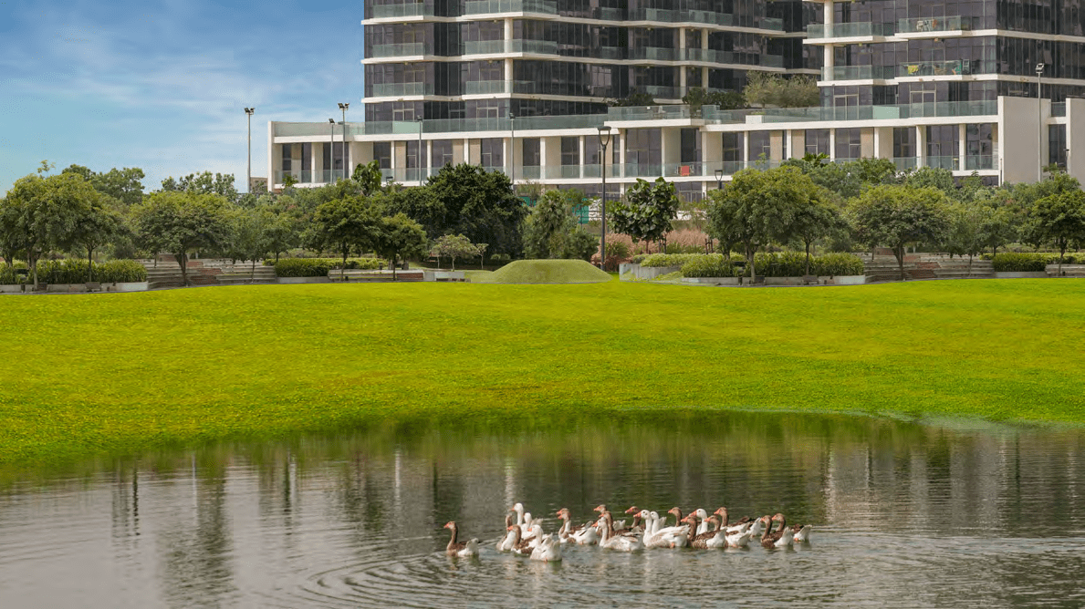 The Park amenity image