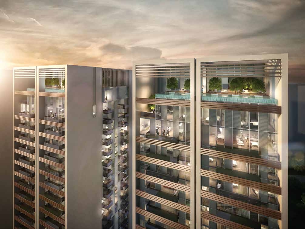 Rooftop Infinity Swimming Pool amenity image