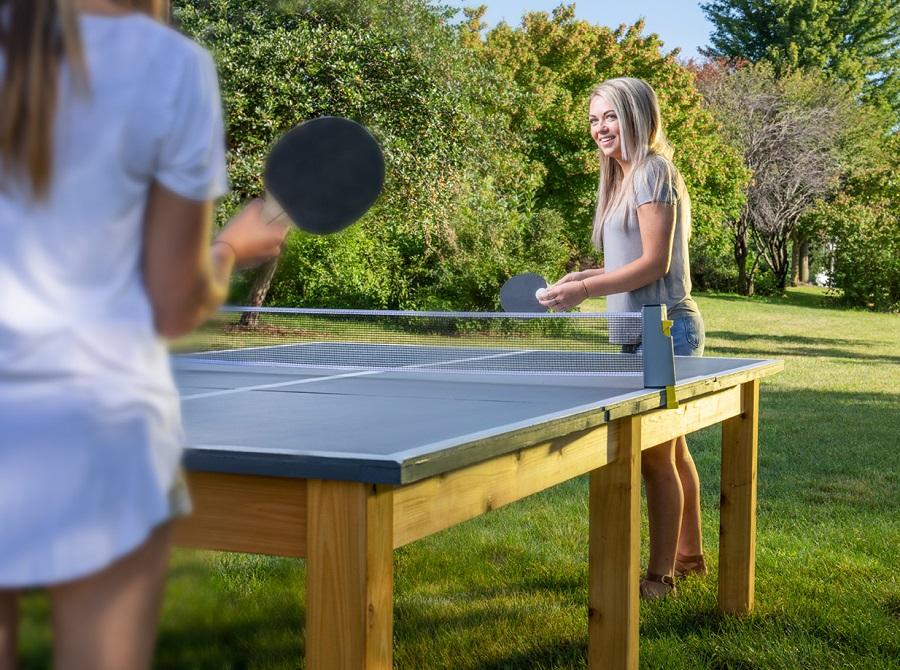 Ping Pong Table amenity image