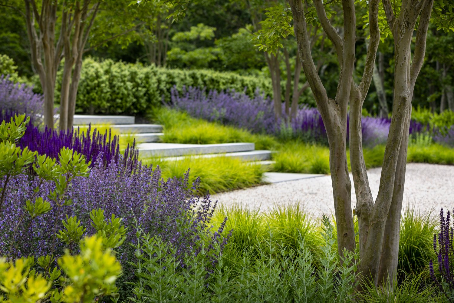 Lush, Landscaped Gardens amenity image