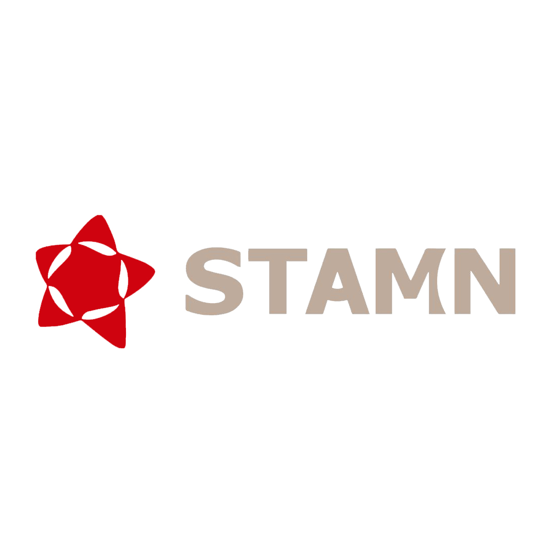 STAMN Real Estate Development Logo