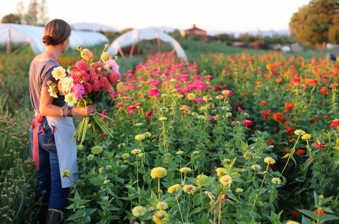 Flower Farm amenity image