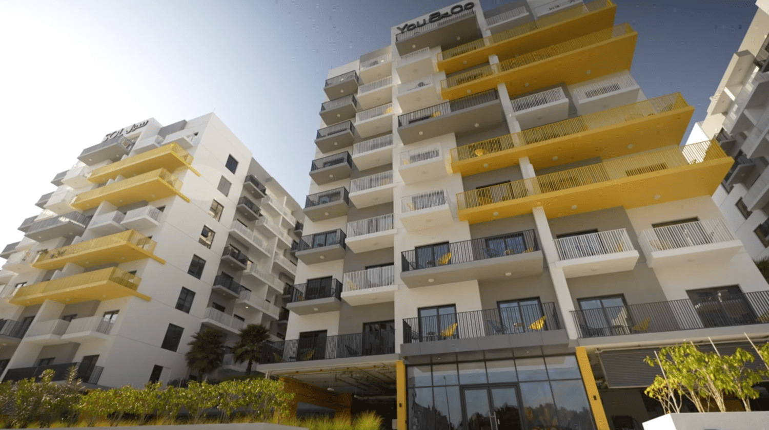 You and Co IMPZ cover image