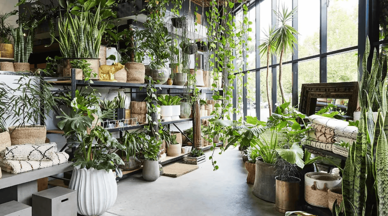 Flower & Plant Shop amenity image