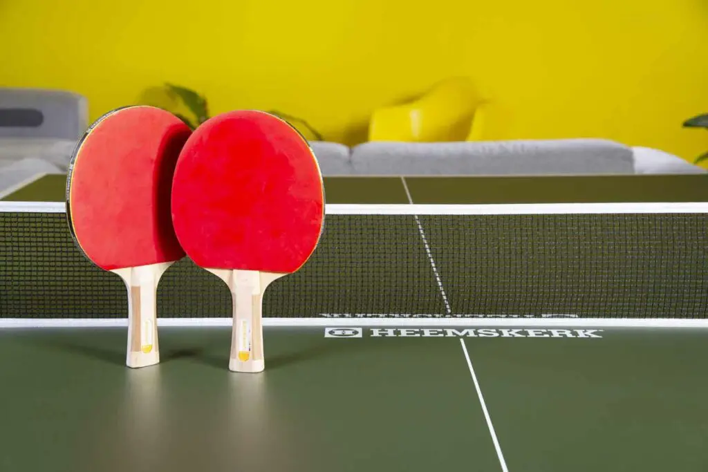 Table Tennis amenity image