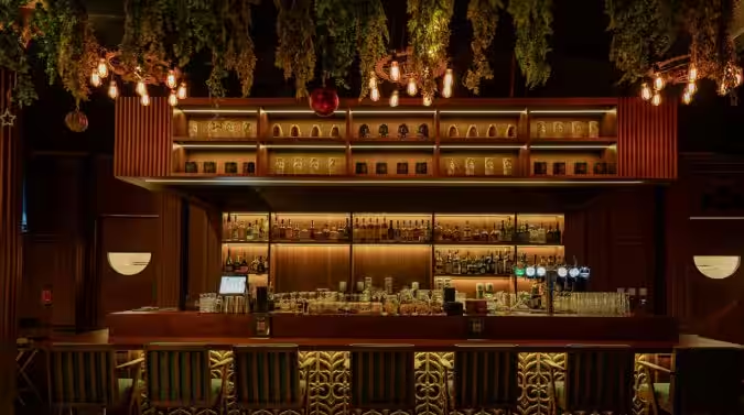 Health Bar amenity image