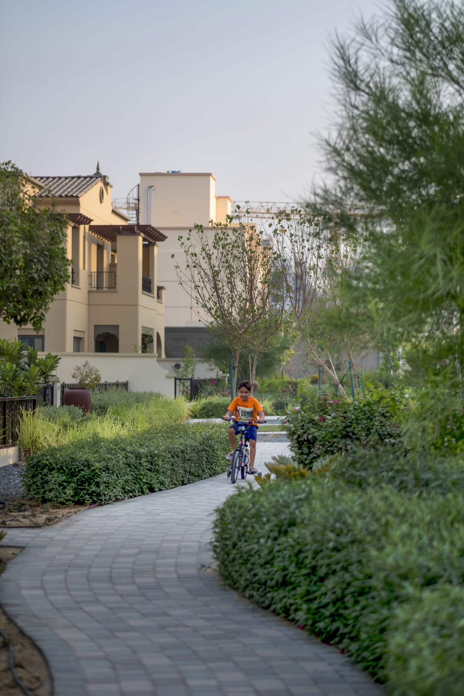 Walking trails amenity image