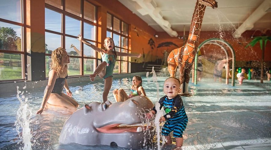 Dynamic Kids Pool amenity image