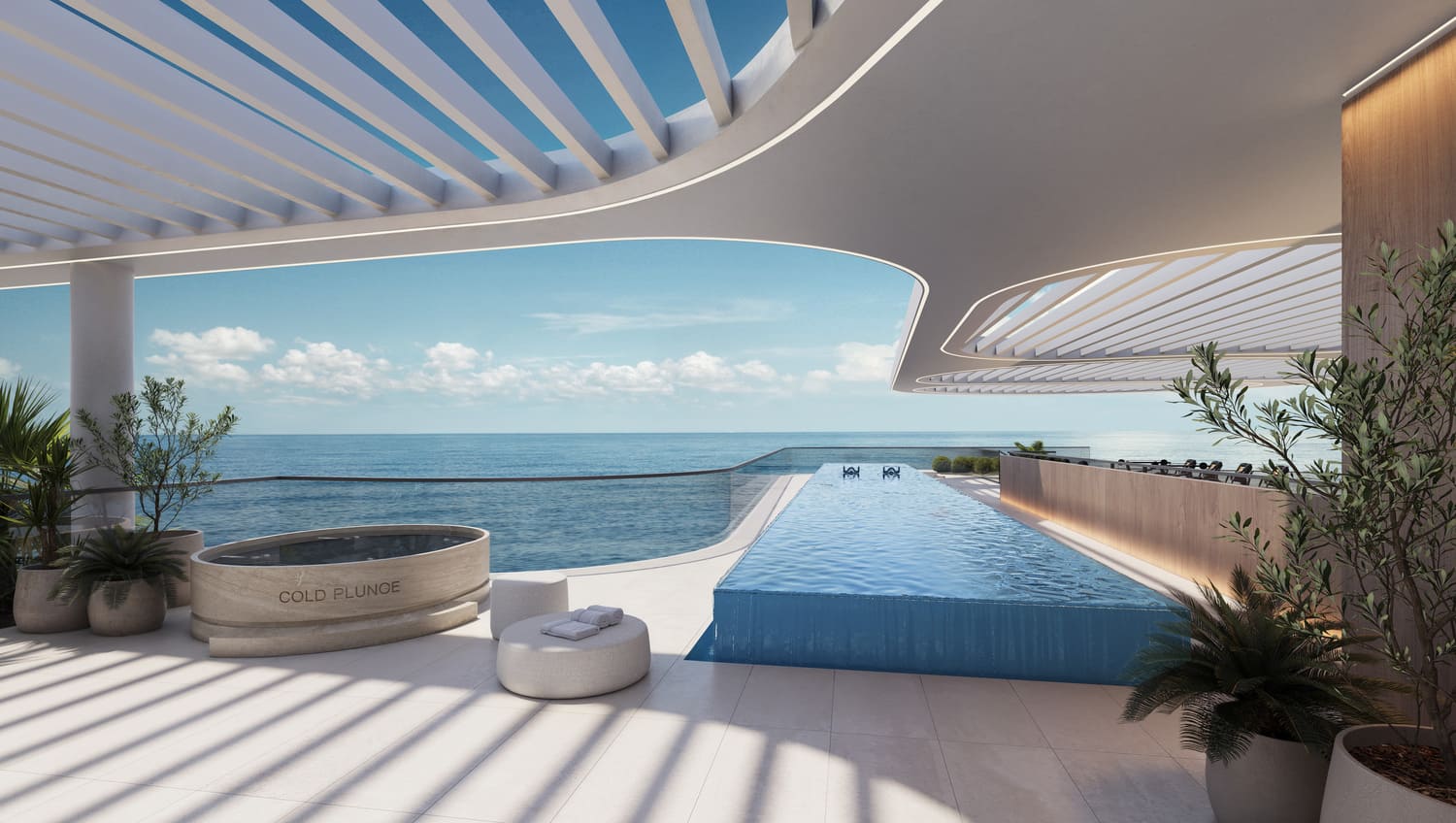 Cold Plunge & Rooftop Lap Pool amenity image