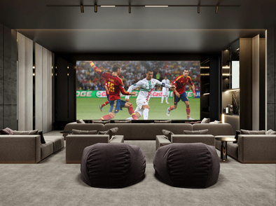 Cinema amenity image