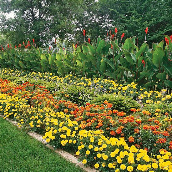 Landscaping & Plantation amenity image
