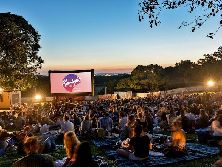 Outdoor Cinema amenity image