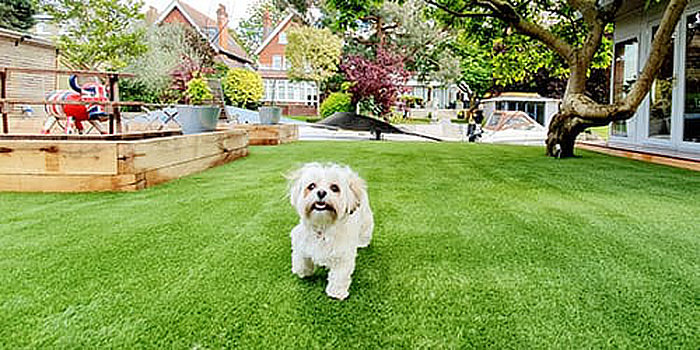 Pet Garden amenity image
