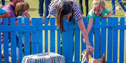 Petting Farm amenity image