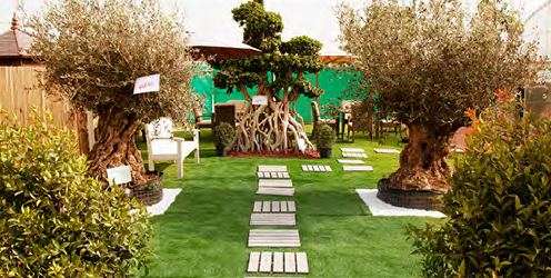 Green Zone amenity image