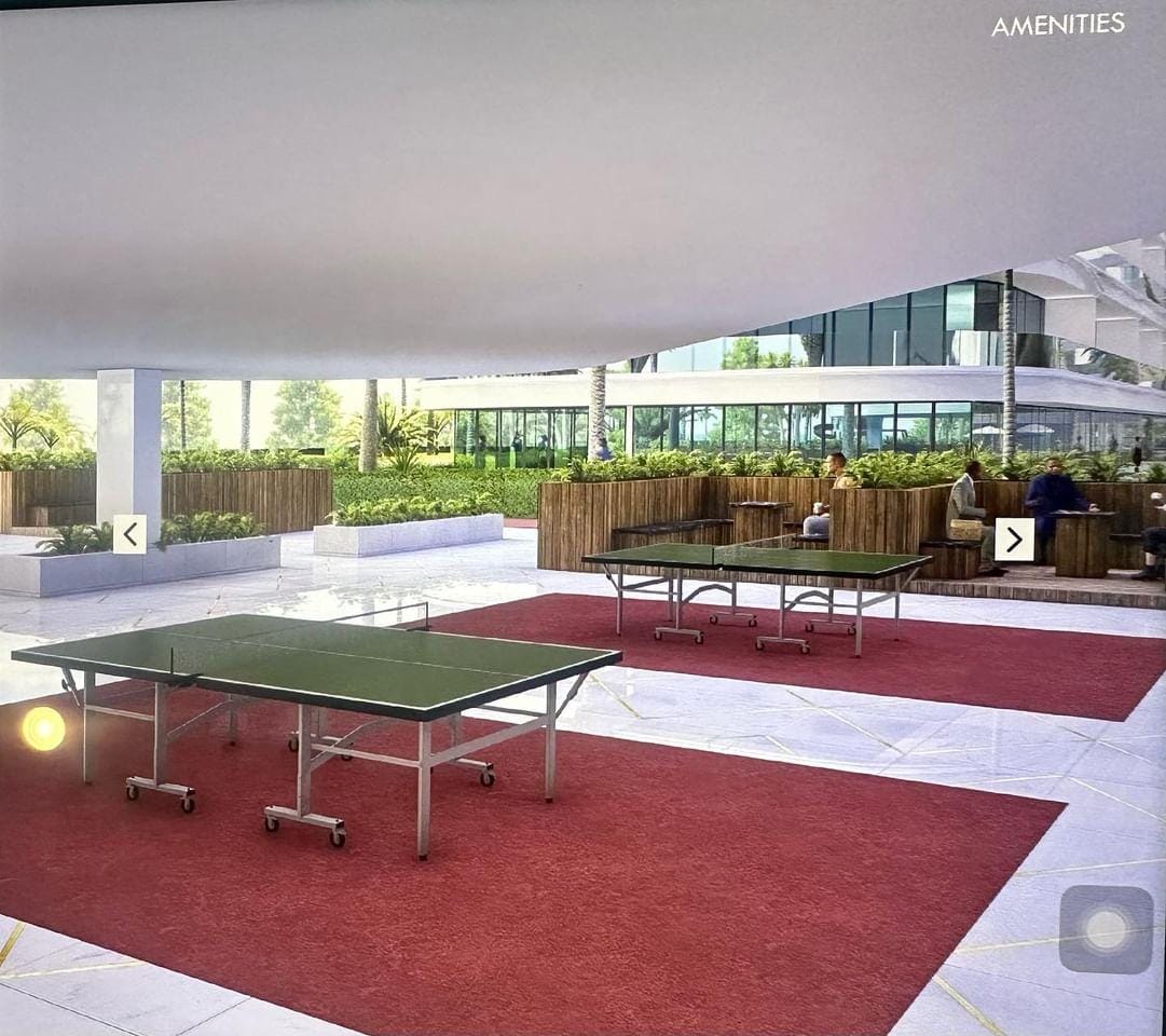 Table Tennis amenity image