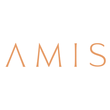AMIS Development Logo