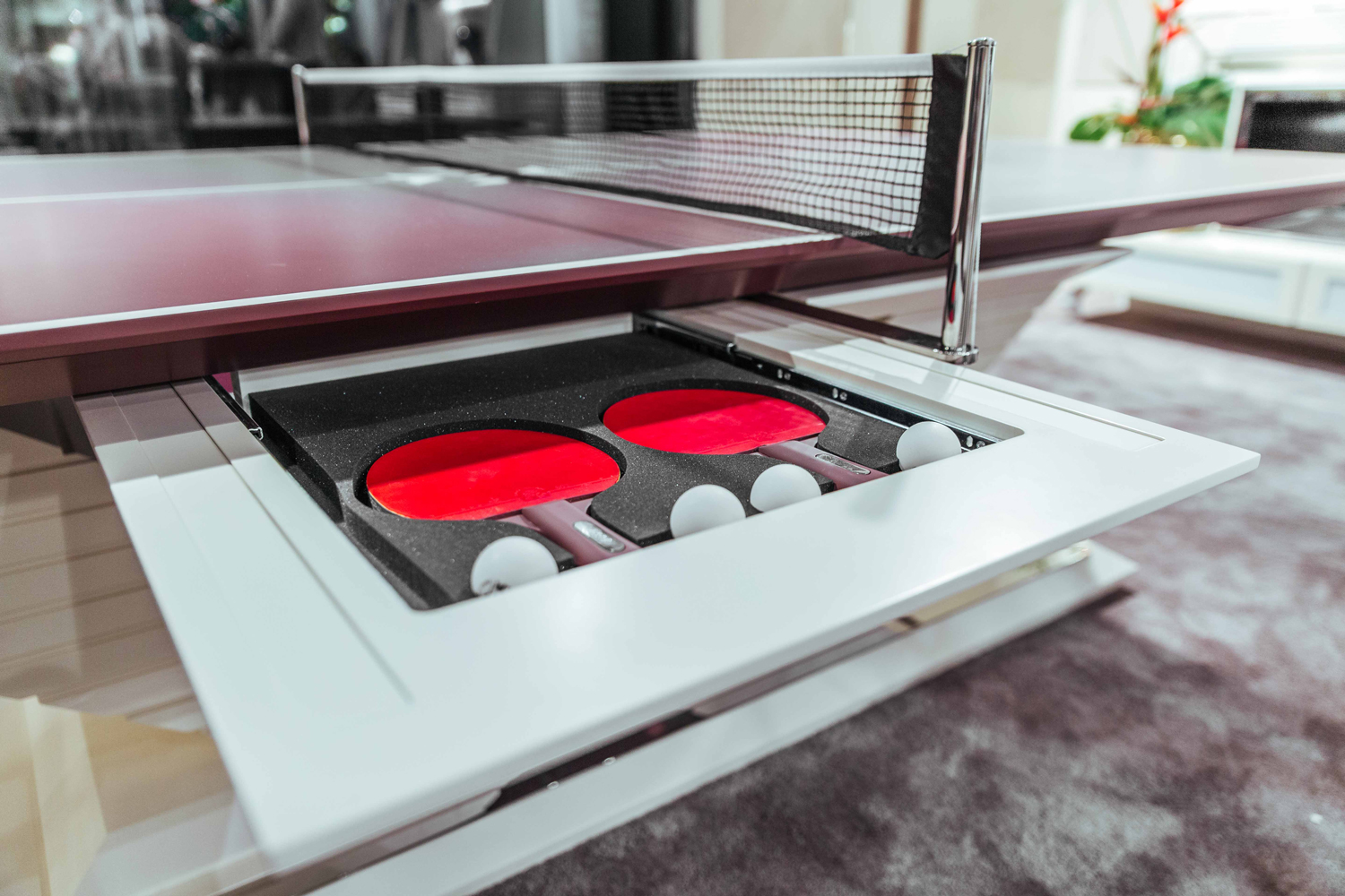 ⁠Table Tennis amenity image