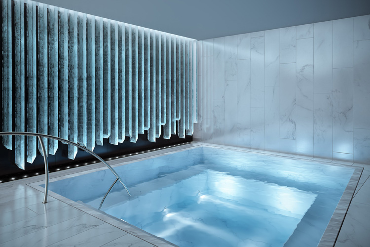 Polar Plunges amenity image