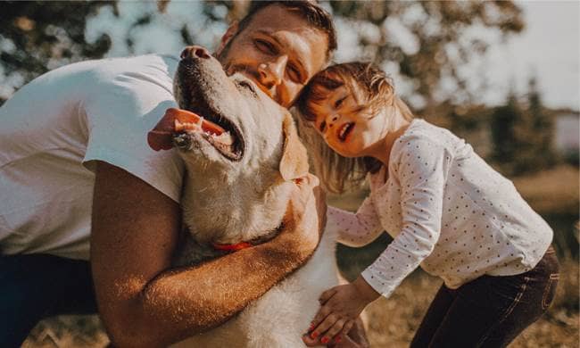 DOG PARKS amenity image