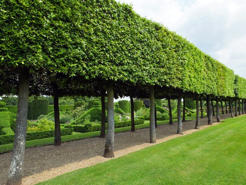 Landscaped gardens amenity image