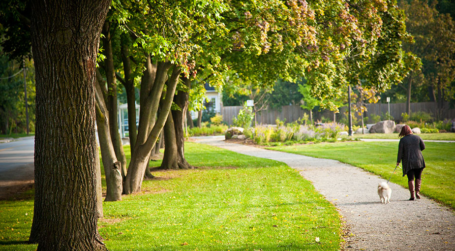 Parks and Leisure Areas amenity image