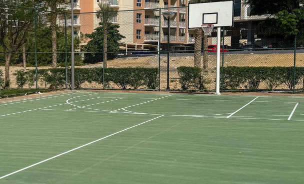 Basketball court amenity image