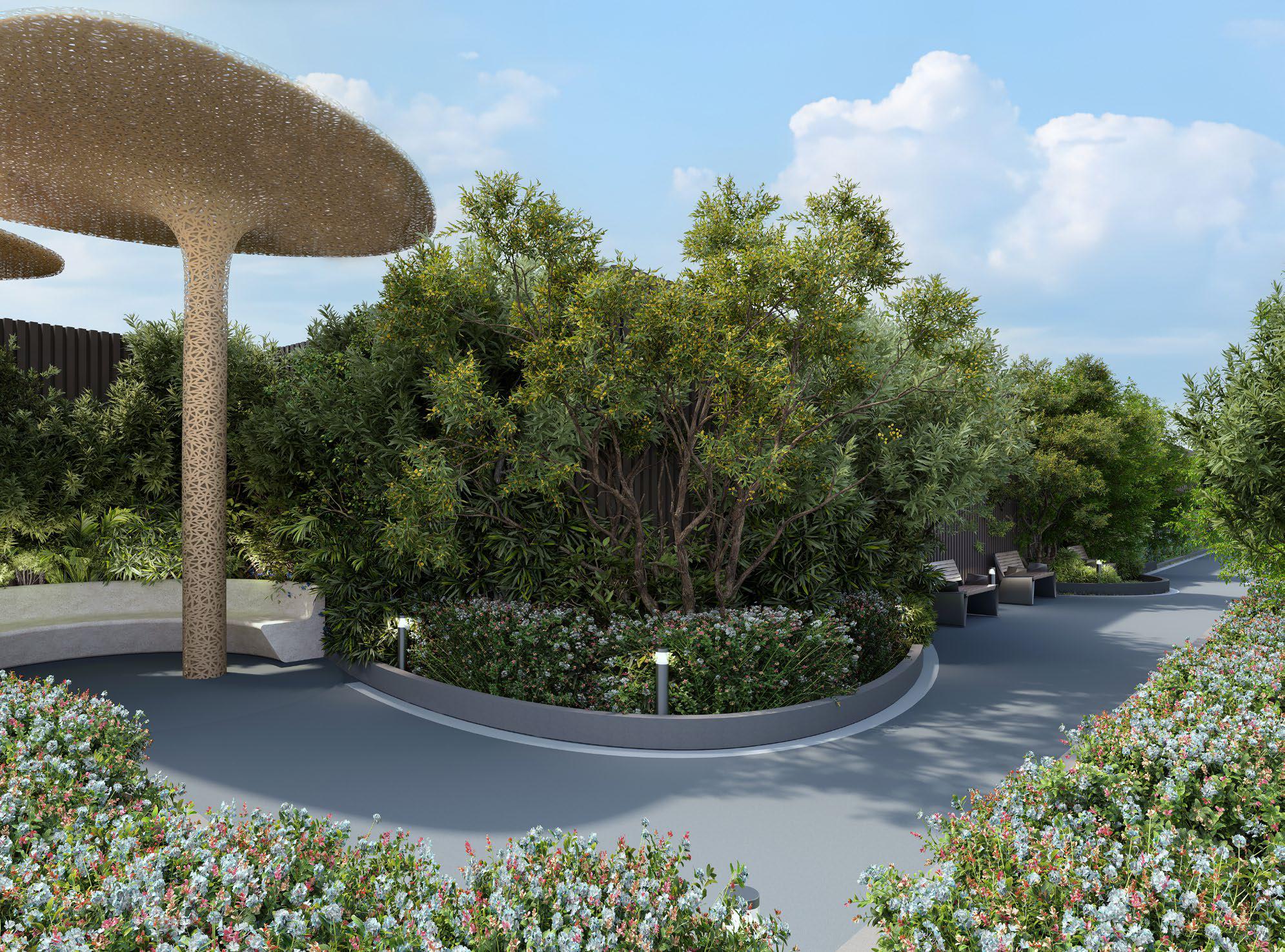 Sky Forest Trail amenity image