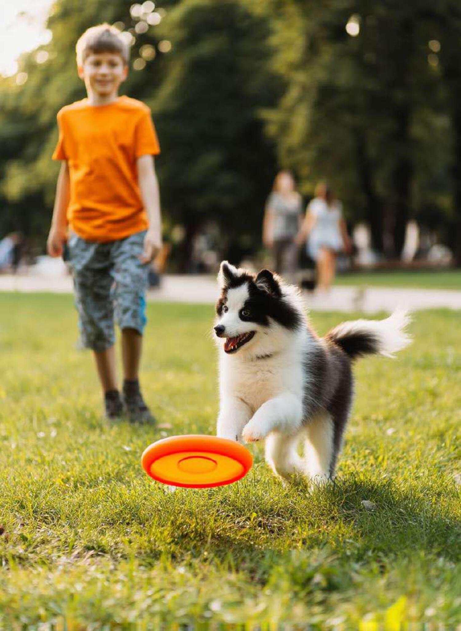 Activity Lawn amenity image