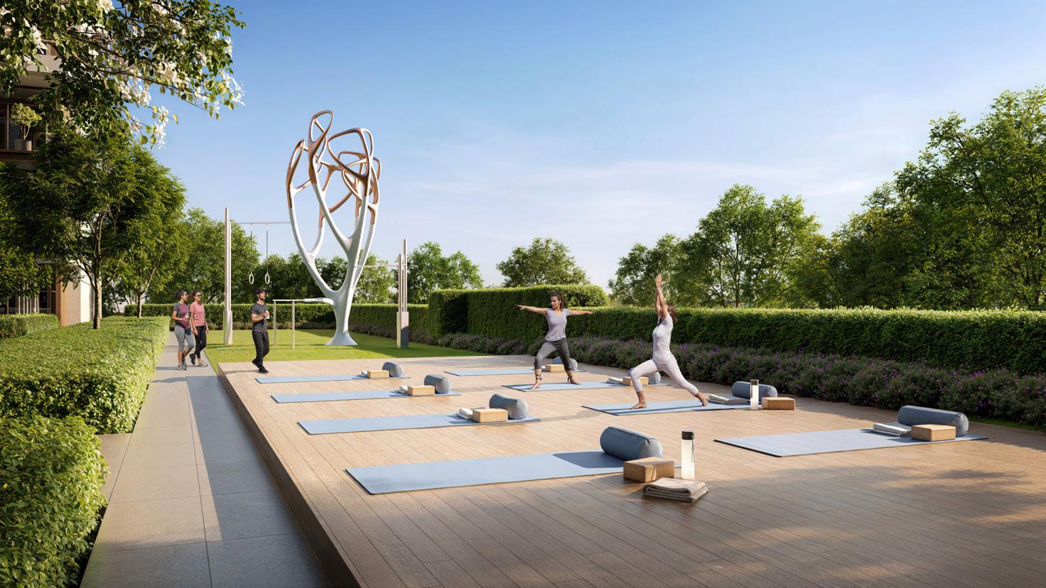 Yoga Deck To Unwind and Recharge amenity image