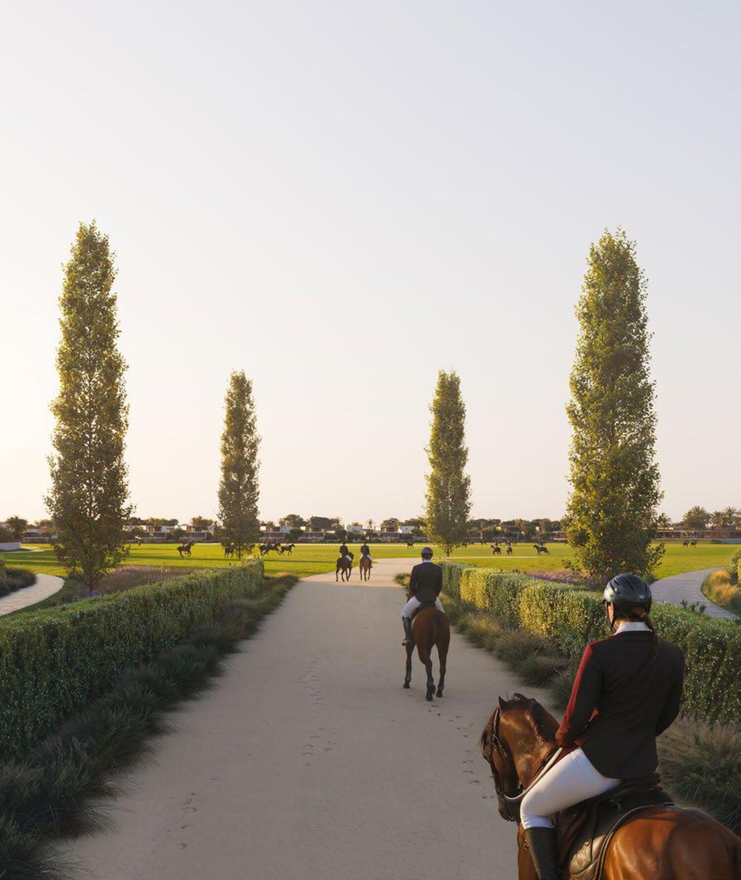 Lush Communal Landscapes amenity image